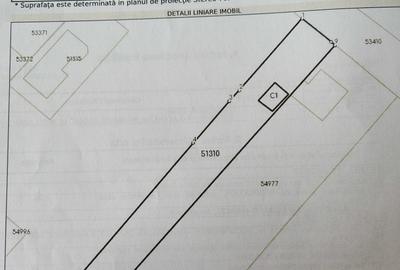 Spațiu comercial, în Petrăchioaia - 1