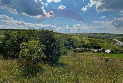 Teren agricol intravilan de 2900 mp, în Dezmir - 1