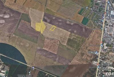 Vanzare teren 11507 mp Magurele Vanzare teren 11507 mp Magurele - 3