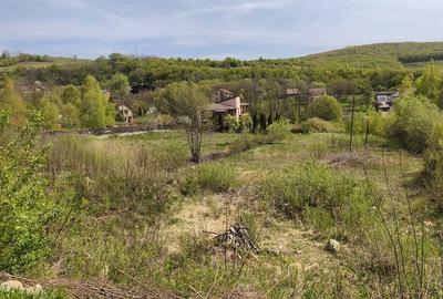 Teren de 1263 mp, în Feleacu - 3