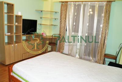 Garsonieră decomandată, mobilată în Turnișor - 3