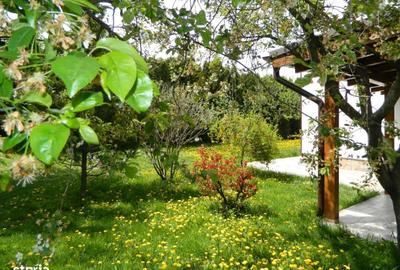 Apartament cu 4 camere, mobilat în Bartolomeu - 2