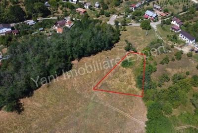 Teren de vanzare in Curtea de Arge?, str Groape. - 9