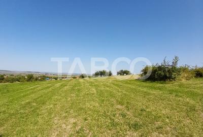 Teren 2400 mp cu deschidere 18 m in Orlat oportunitate investitii - 4