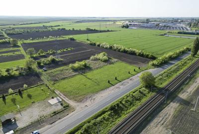 Inchiriere platforma teren 4.000 mp Curtici - 7