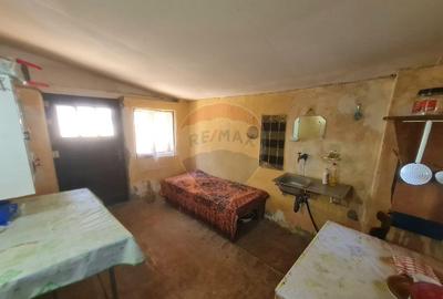 Casa cu 4 camere de vanzare in Jaristea - 3