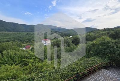 Casa individuala 4 camere teren 3825 mp Cisnadioara - 5