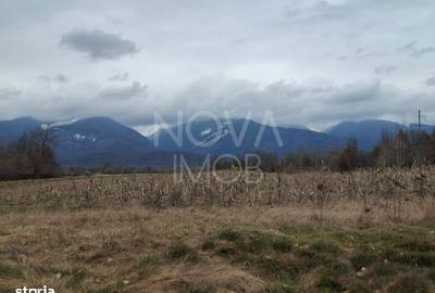 Teren de 2100 mp, în Poplaca