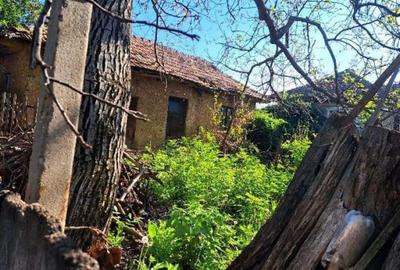 Casă cu 3 camere cu Teren 1853 Mp în Rogova - 3