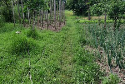 Casă cu 3 camere cu Teren 1100 Mp în Ciugud - 6