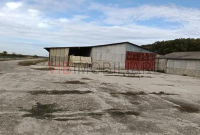 Ferma Agricola 1.350 Hectare Grad de Comasare 9697%, Chi?ineu Cri?, Jude?ul Arad - 8