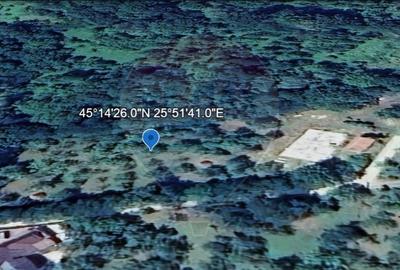 Teren Construcții intravilan de 4972 mp, în Bertea - 3