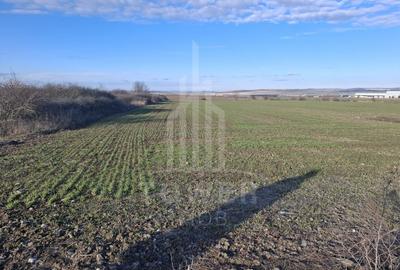 Teren agricol intravilan de 4300 mp, în Cristian - 3