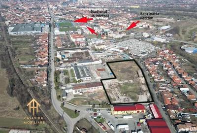 Teren intravilan de 13.418 mp in Lugoj: Oportunitate investi?ionala! - 3
