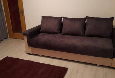 Apartament cu 2 camere semidecomandat în Albiș - 7