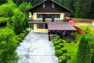 FILM!Resedinta cu farmec montan, domeniu de 1.700 mp,cadru s - 10