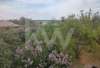 Casa spatioasa in Dragotesti – oaza de verdeata - 8