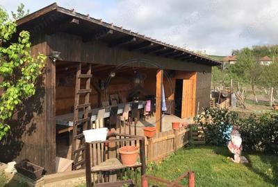 Casă cu 4 camere cu Teren 1300 Mp în Teaca - 3