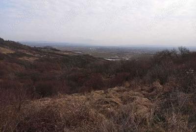 Spațiu comercial, în Podgoria - 1