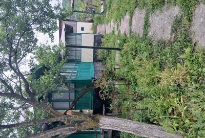 Casa cu doua terenuri de vanzare - 2