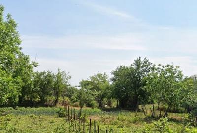 Teren intravilan Ciulnita-Slobozia, ÎL 400 mp deschidere 16 m - 3