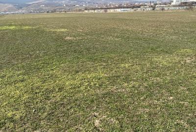 Teren de 6920 mp, în Exterior Vest - 5