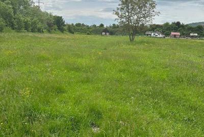 Teren de 8000 mp, în Exterior Vest - 1