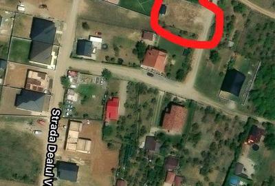 Teren de 600 mp, în Paleu