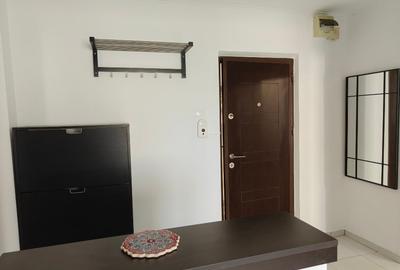 Apartament cu 2 camere decomandat, mobilat în Dristor - 14