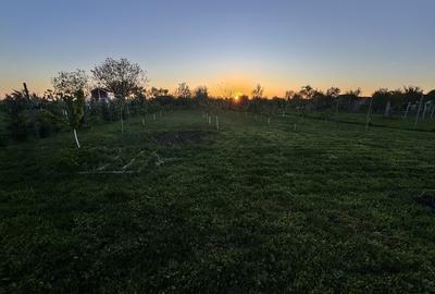 Spațiu comercial, în Călacea - 1