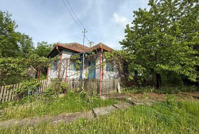 Casă cu 2 camere în Boju - 2