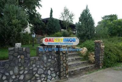 VANZARE 10.000 MP LOCALITATEA ILEANA 49 KM BUCURESTI - 15