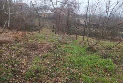 Spațiu comercial, în Goranu - 2