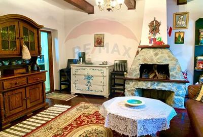 Pensiune cu 13 camere de vanzare in Bulz - 23