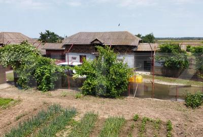 Oportunitate de achizi?ie Casa tradi?ionala, ideala - 7