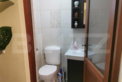 Duplex, 132mp, 150 mp teren, zona Sf.Ilie - 9