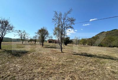 Teren intravilan de vanzare 14000mp,ideal pentru investitie, - 2