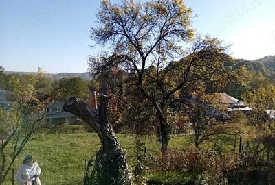 Teren de 1028 mp, în Băcești - 10