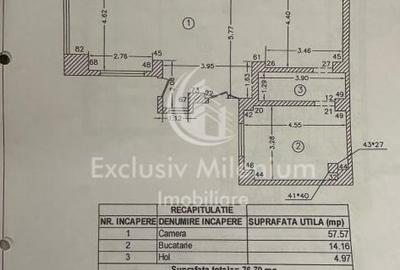 Spatiu Comercial Lizeanu - Stefan cel Mare - 5
