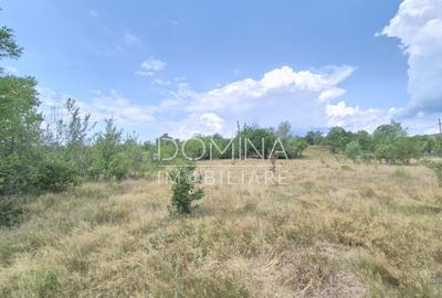 Proprietate in apropiere de complex turistic Mu?ete?ti - 4