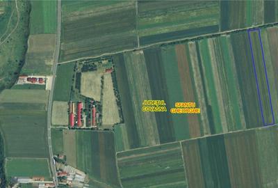 Teren de 11700 mp, în Coșeni - 3