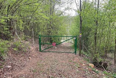 Casă cu Teren 15000 Mp în Bătrâna