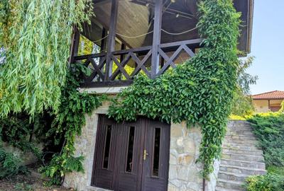 Mogosoaia,vila robusta cu vedere spectaculoasa catre lac,palat,parc,1750mp teren - 12