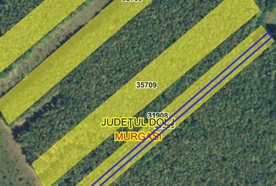 Teren de 9200 mp, în Murgași - 3