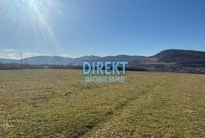 Teren de 13300 mp, în Central - 6