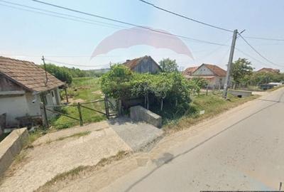 Casa de vanzare cu teren de 3000mp, sat Pagaia, Bihor - 2