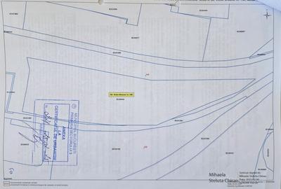 Teren de 5000 mp, în Titan - 4