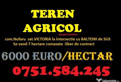 Teren de 70000 mp, în Nufăru - 5