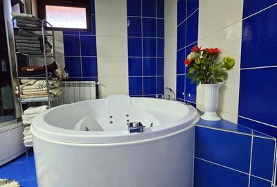 Vila ta aproape de natura – 8 camere, Lacul Pasarea - 40