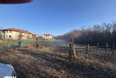 Teren de 3676 mp, în Păulești - 2